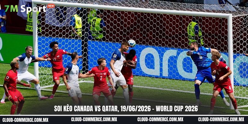 Đội hình dự kiến của Canada vs Qatar 19/06 Đội hình dự kiến của Canada vs Qatar 19/06